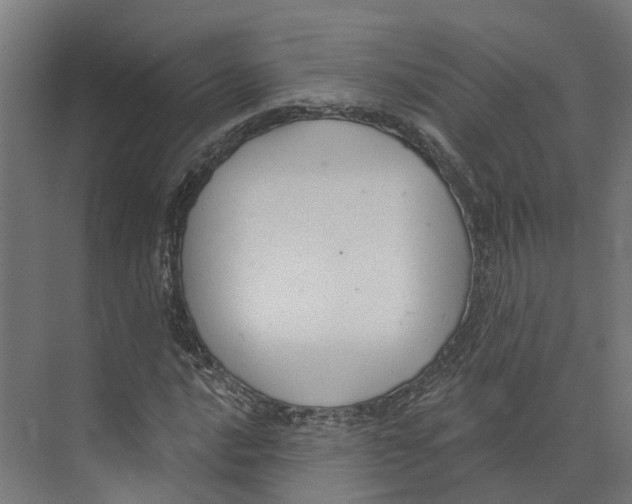 X0000073871016200609071653