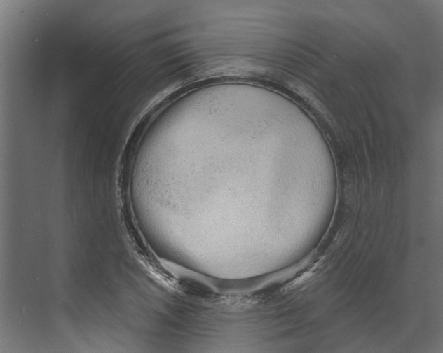 X0000073871026200609071653