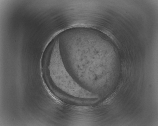 X0000073871030200609071653