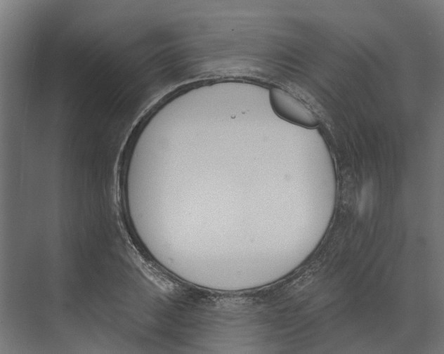 X0000073871031200609071653