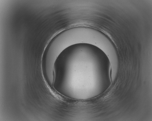 X0000073871034200609071654