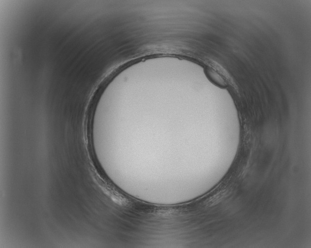 X0000073871035200609071654