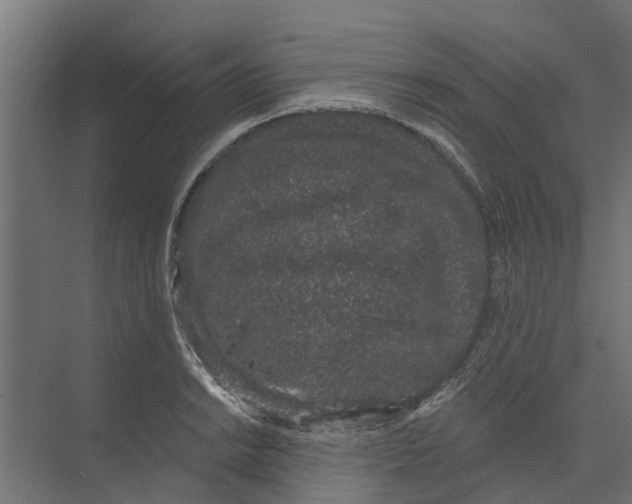 X0000073871038200609071654