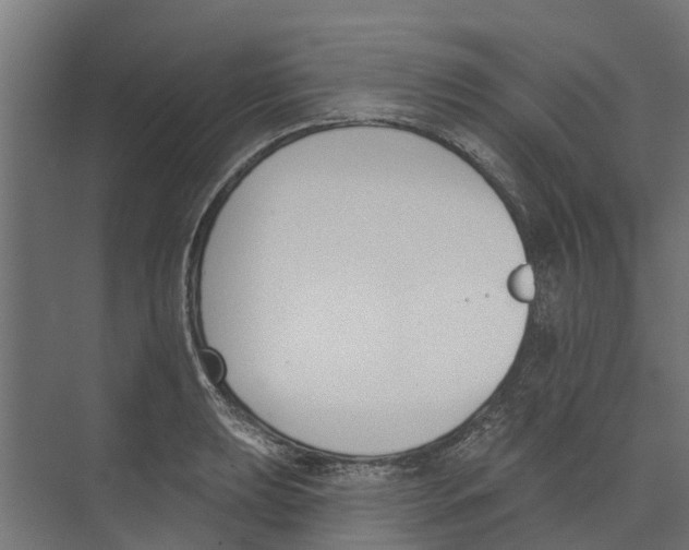 X0000073871039200609071654