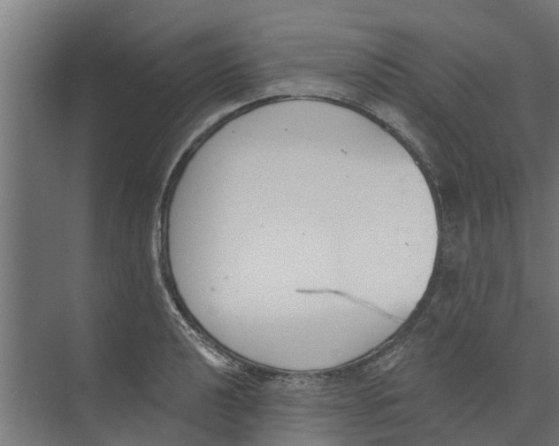 X0000073871040200609071654