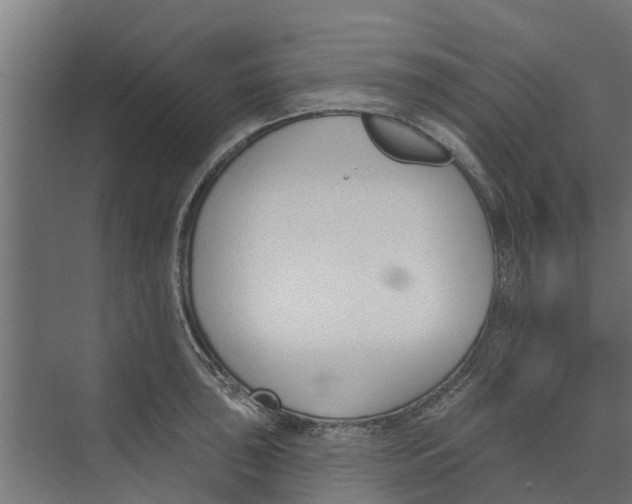 X0000073871043200609071654