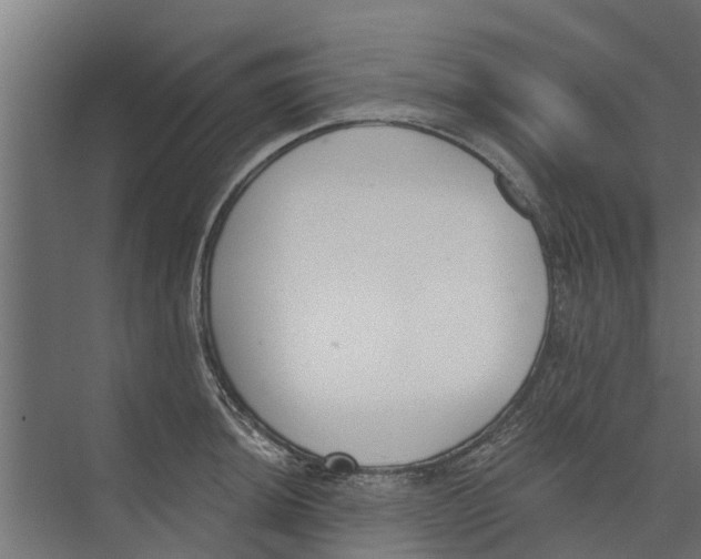 X0000073871044200609071654