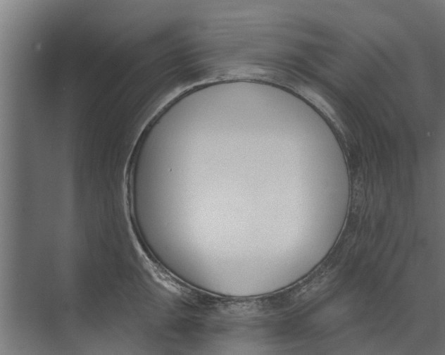 X0000073871047200609071654