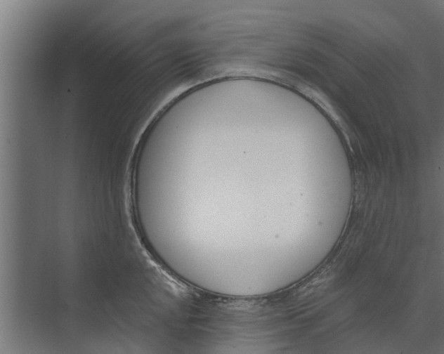 X0000073871048200609071654