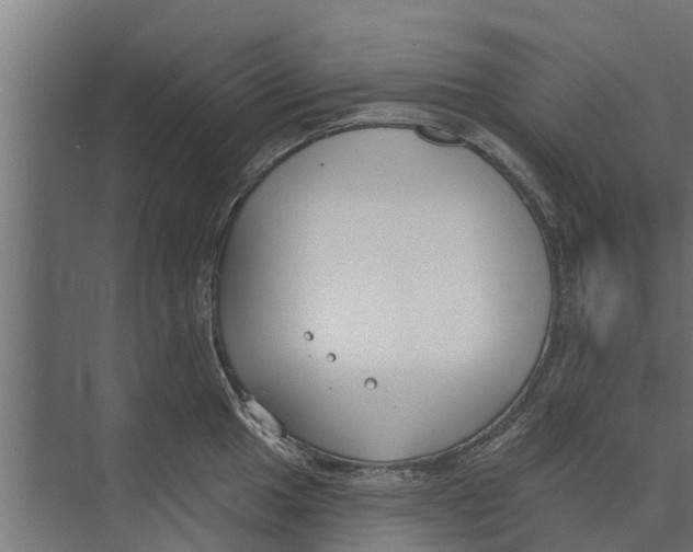 X0000073871049200609071654