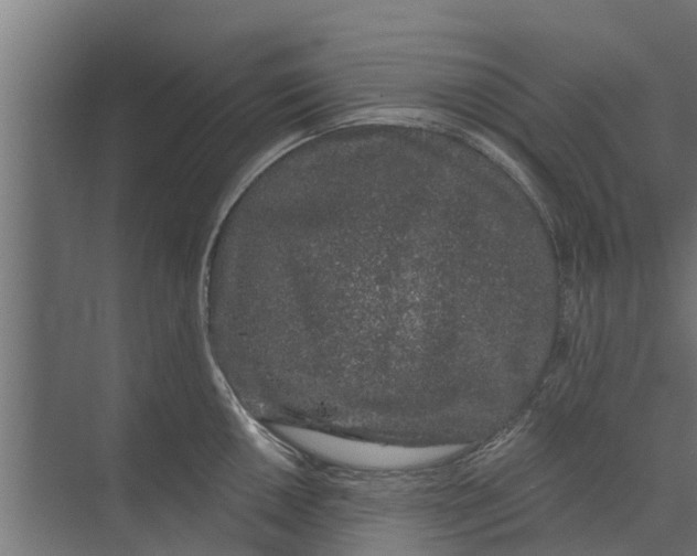 X0000073871050200609071654