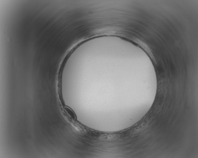 X0000073871051200609071654