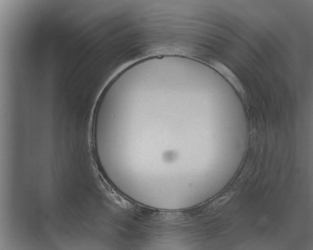 X0000073871052200609071654