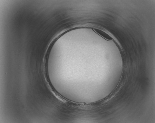 X0000073871053200609071654