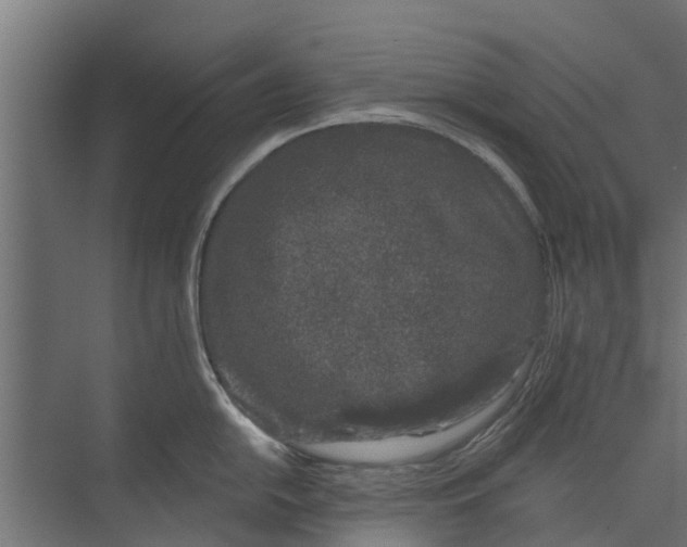 X0000073871054200609071654