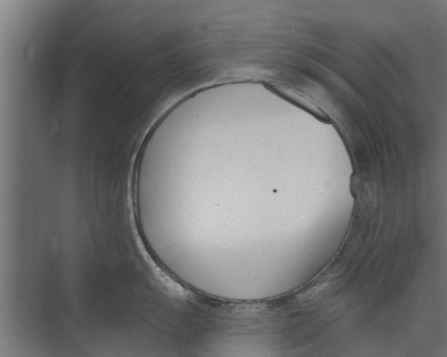 X0000073871055200609071654