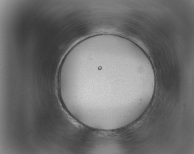 X0000073871056200609071654