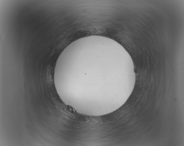 X0000073871058200609071653