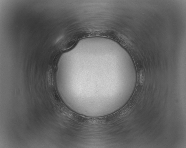 X0000073871059200609071653