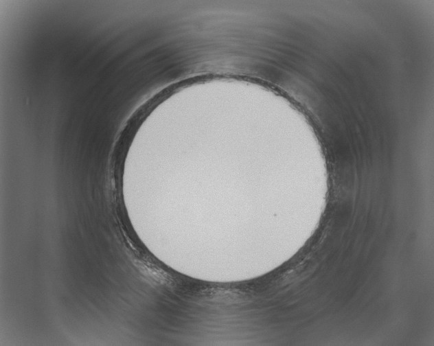 X0000073871070200609071653