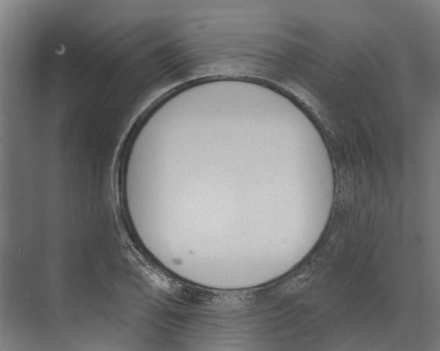 X0000073871078200609071653