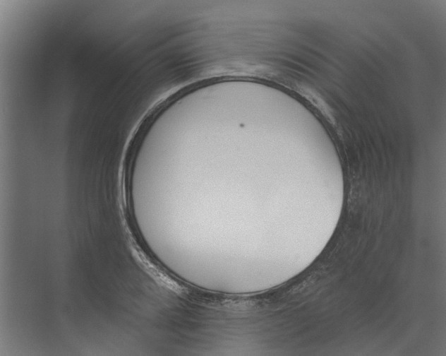 X0000073871080200609071653