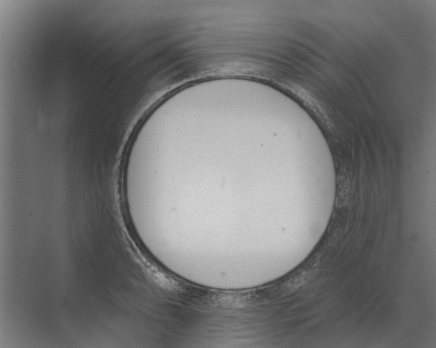 X0000073871086200609071653