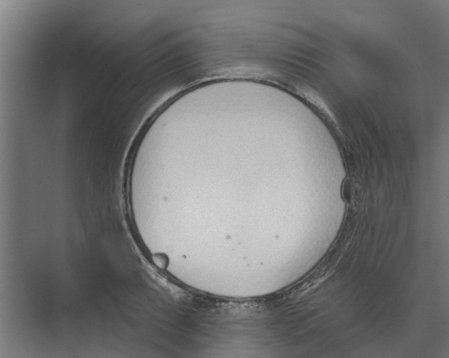 X0000073871087200609071653