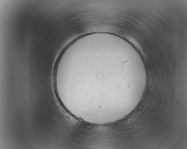 X0000073871088200609071653