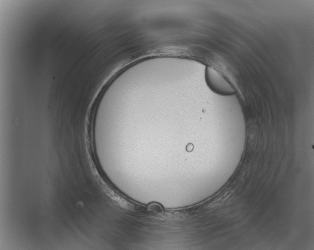 X0000073871091200609071653