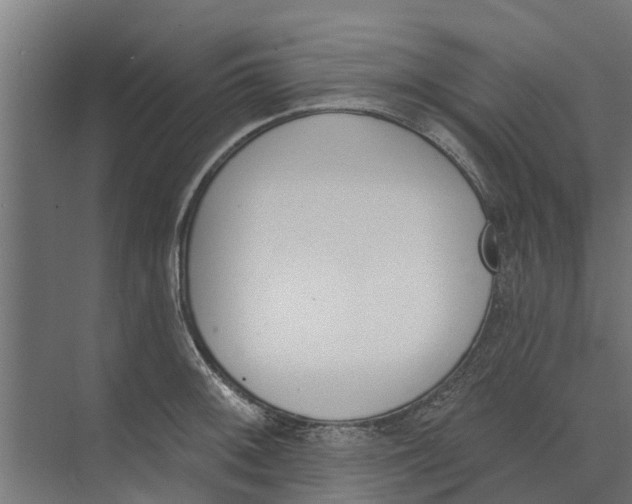 X0000073871092200609071652