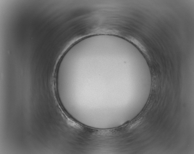 X0000073871094200609071652