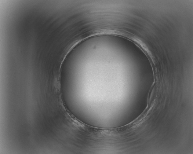 X0000073871097200609071652