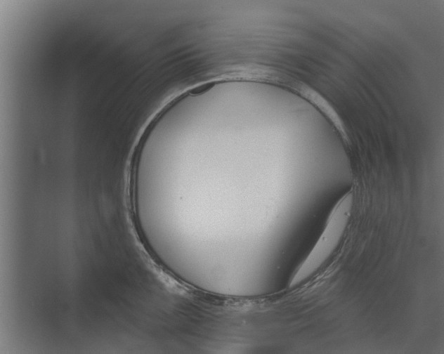 X0000073871099200609071652