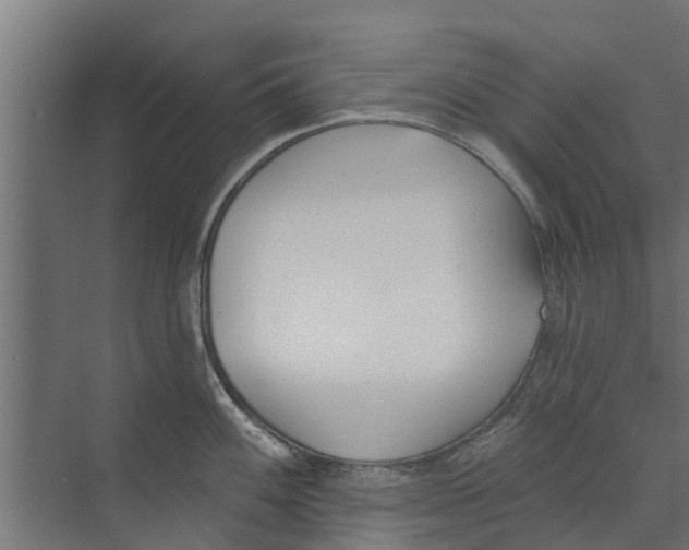 X0000073871100200609071652