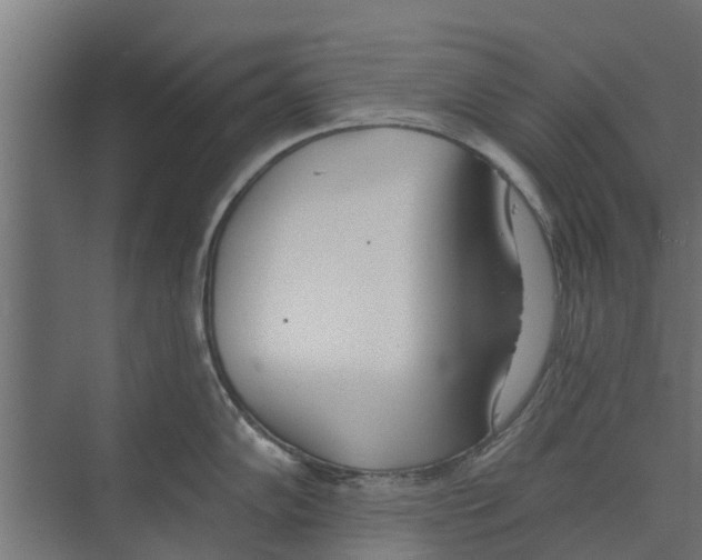 X0000073871102200609071652