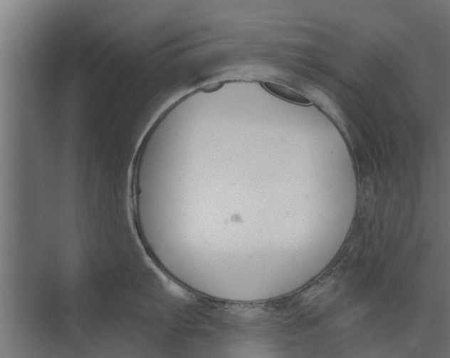 X0000073871103200609071652