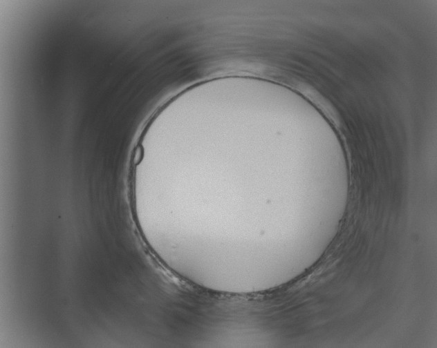 X0000073871104200609071652