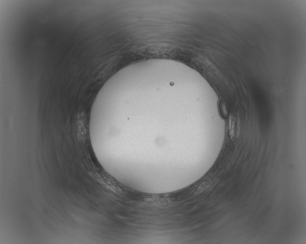 X0000073871107200609071652