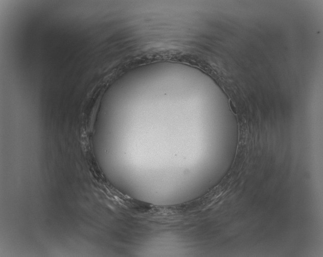 X0000073871109200609071652