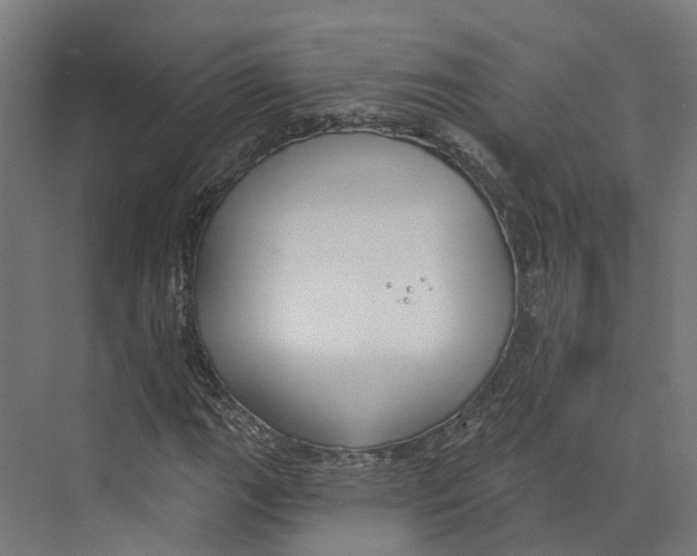 X0000073871111200609071652