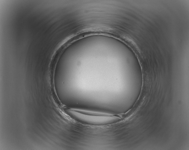 X0000073871114200609071652