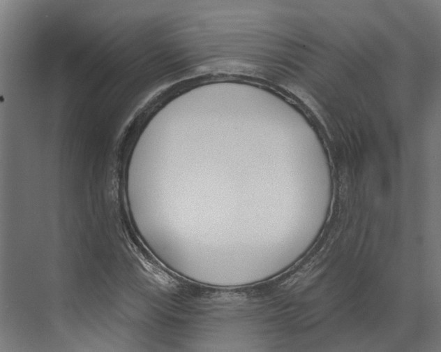 X0000073871115200609071652