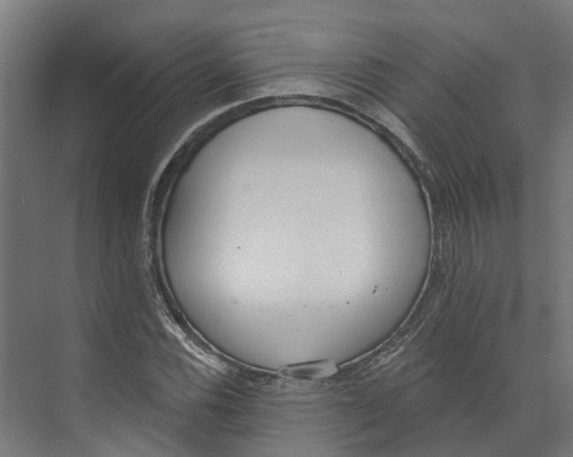 X0000073871116200609071652