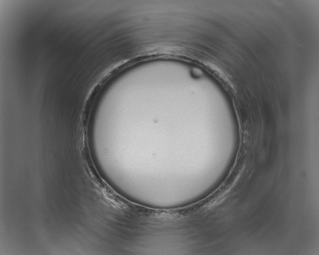 X0000073871117200609071652