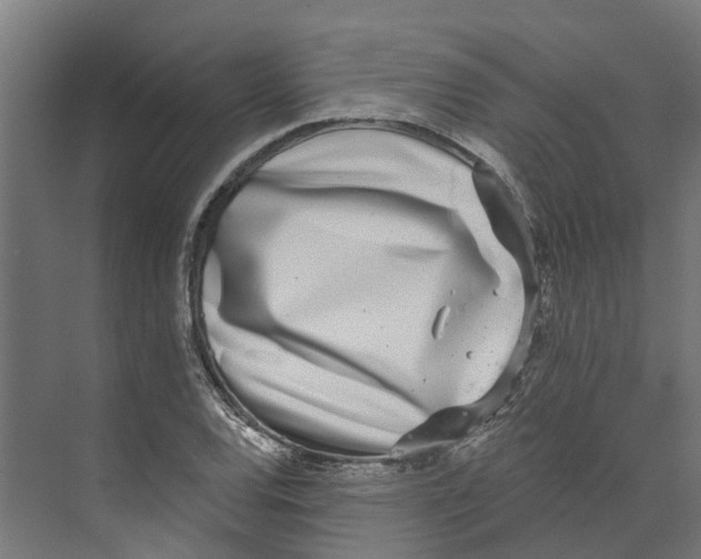 X0000073871120200609071652