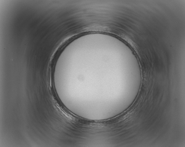 X0000073871123200609071652