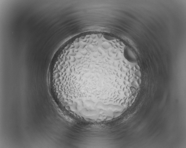 X0000073871125200609071652