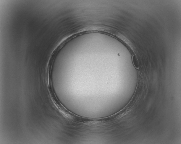 X0000073871127200609071652