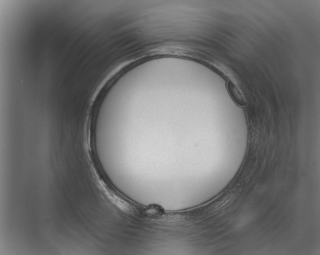 X0000073871131200609071652